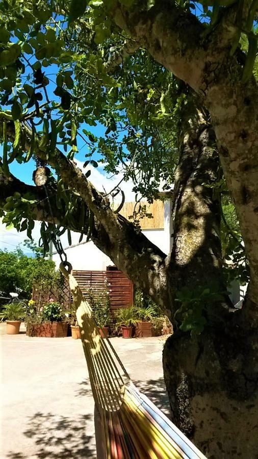 Willa La Casita Manacor  Zewnętrze zdjęcie