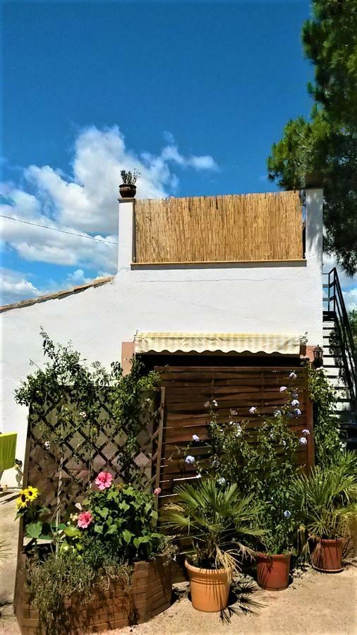 Willa La Casita Manacor  Zewnętrze zdjęcie